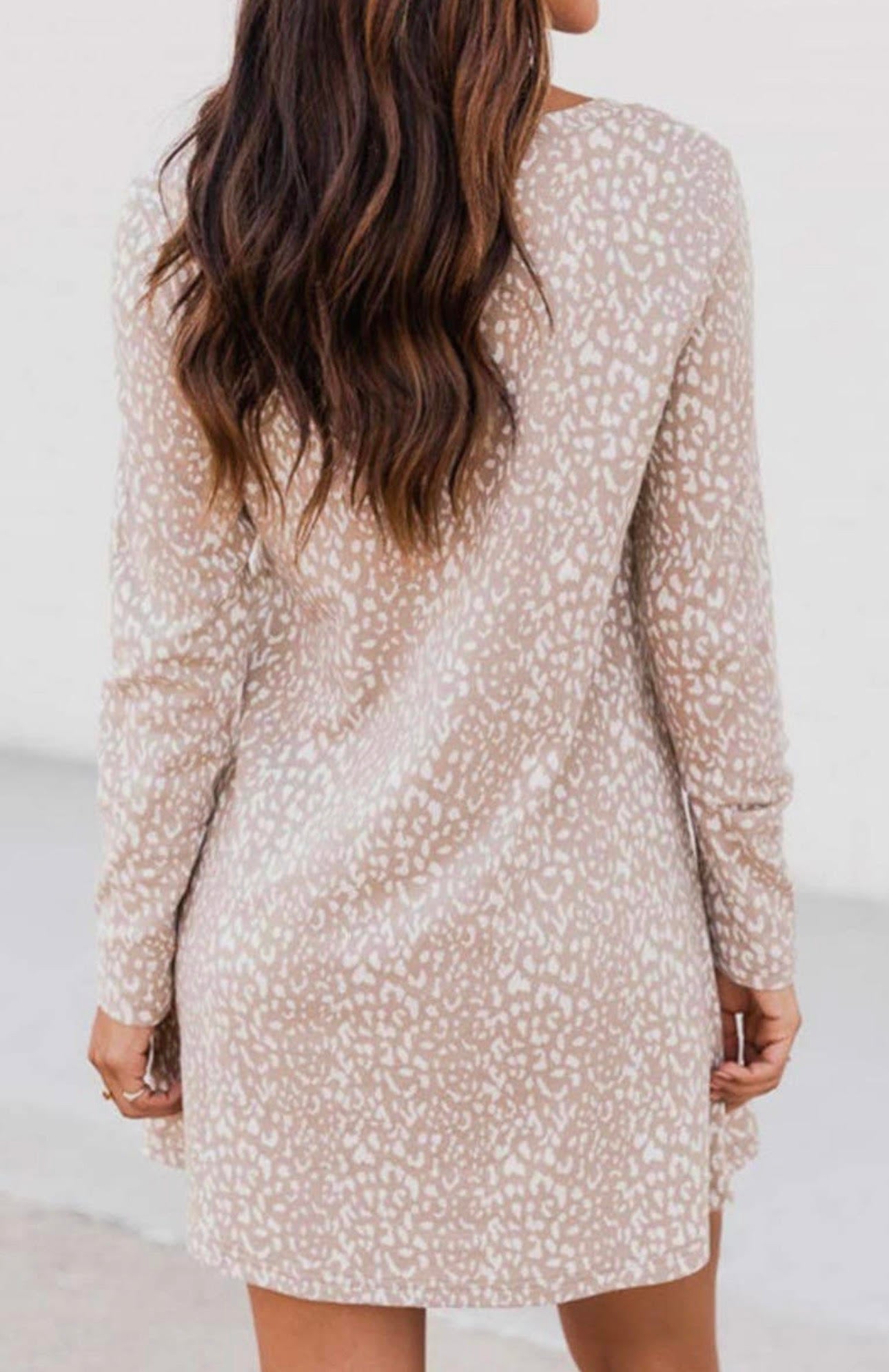 The Lily Leopard Shirt Dress